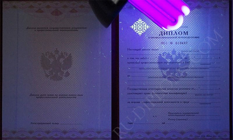 Диплом о переподготовке 2010 года 